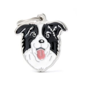 Chapita My Family Border Collie