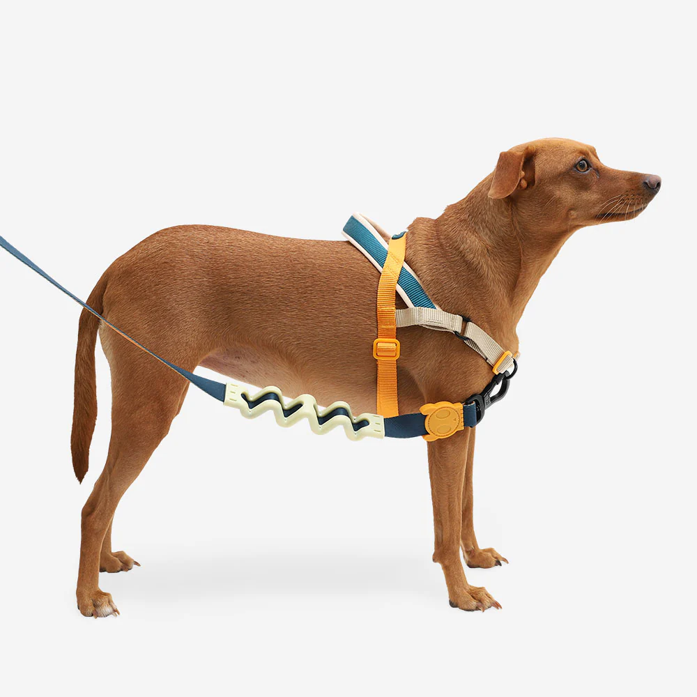 ZEEDOG Voyage softer walker Harness - Imagen 3