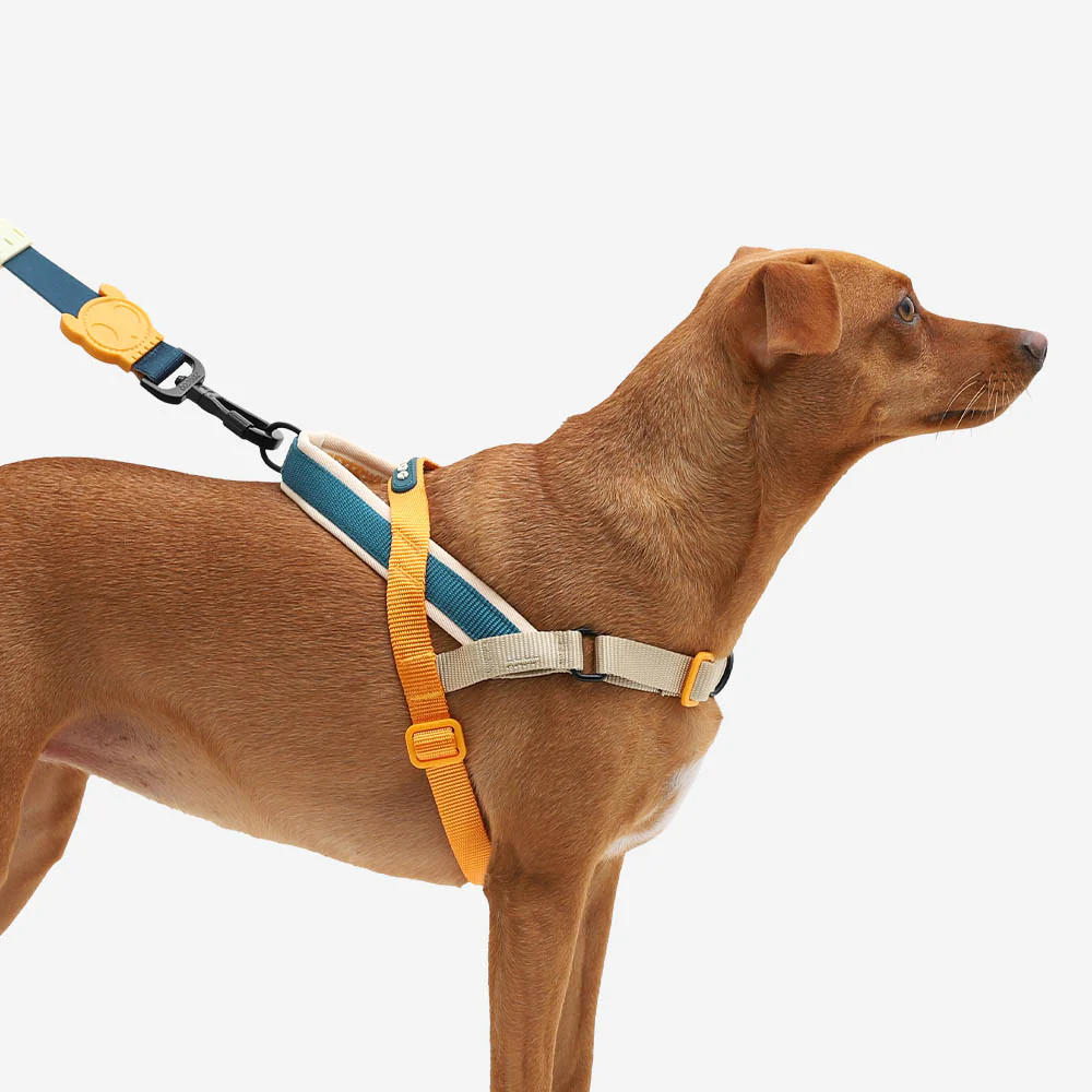 ZEEDOG Voyage softer walker Harness