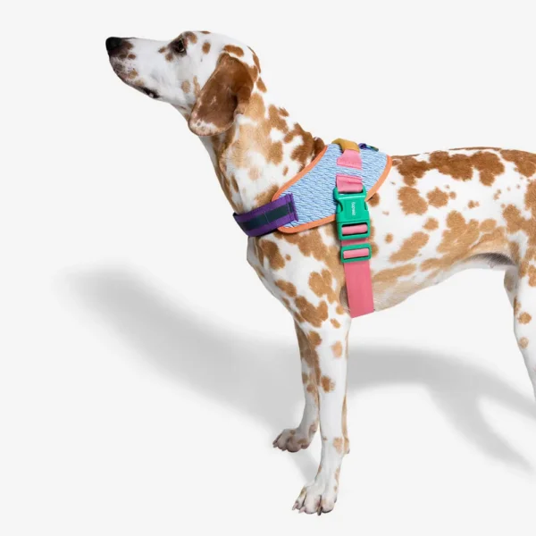 Zeedog  Pretales Galaxy Flyharness TALLE 1-2
