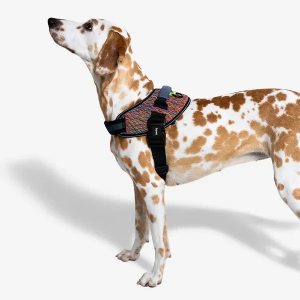 Zeedog  Pretales Vortex Flyharness TALLE 1-2