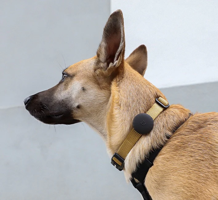 ZEEDOG AIRTAG Holder Gotham - Imagen 2