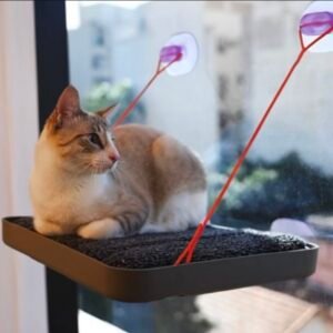 Zeedog Sky.Bed Cama para Gatos con Soporte para Cristales