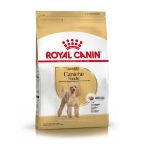 Royal Canin Alimento Seco para Perro Caniche Adult | 1 kg