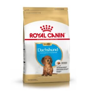 Royal Canin Alimento Seco para Perro Dachshund Puppy | 1 kg