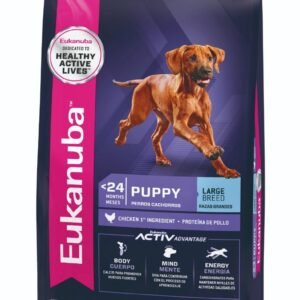Eukanuba Alimento para Perro Puppy Large Breed | 3kg