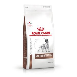 Royal Canin Alimento Seco para Perro Gastrointestinal Canine | 2 kg