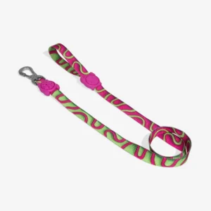 Zeedog Regular Leash Jelly