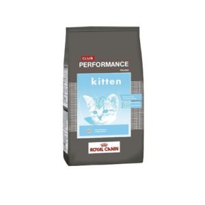 Royal Canin Alimento Seco Gato Club Performance Kitten | 7.5kg
