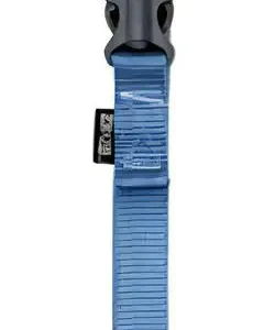 Zeus Collar Perro Talle XL | Azul