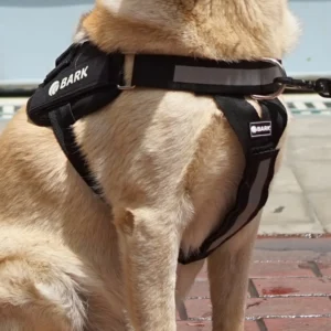 Bark Arnés Anti Tirones para Perros