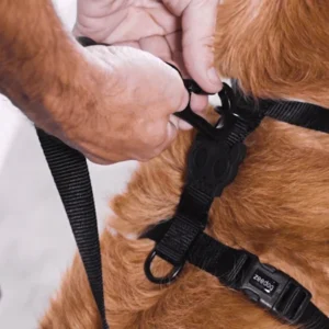 Zeedog Harness H Gotham