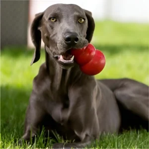 Kong Classic Juguete Perros
