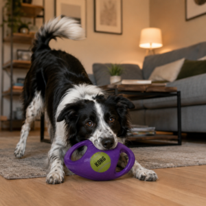 Kong Pelota Interactiva Jumbler Football Extra Grande Con Sonido