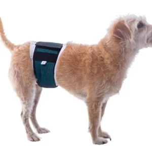 Pet Med Protector para Pañal Perro Macho