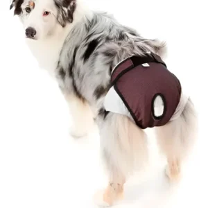 Pet Med Protector para el Pañal y el Celo | Rosa