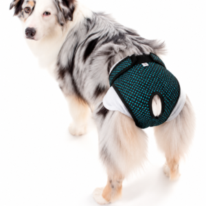 Pet Med Protector para el Pañal y el Celo | Verde