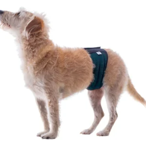 Pet med protector absorbente para Perro | Macho