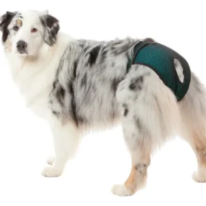 Pet med protector absorbente para Perro | Hembra