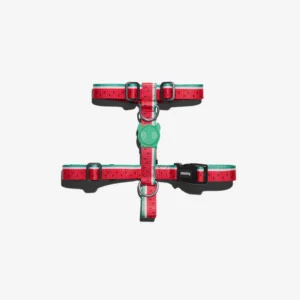Zeedog Harness H Lola