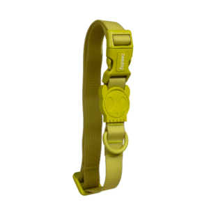 Zeedog Regular Collar Neopro Matcha