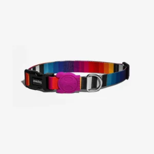 Zeedog Regular Collar Prisma