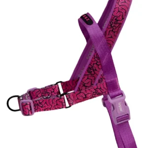 Zeedog Soft-Walk Antipull Harness Brain