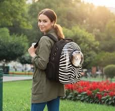 Mochila Espacial Perros Gatos Burbuja Rígida