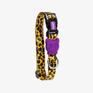 Zeedog Regular Collar Honey