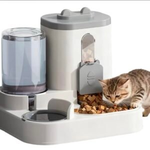 Comedero Para Gatos 2 en 1