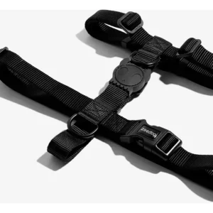 Zeedog Harness H Gotham