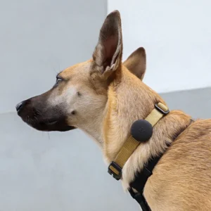Zeedog Porta Equipaje de Airtag