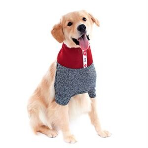 Pet Med Protector de cuello