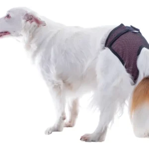 Pet med protector absorbente para Perro | Hembra