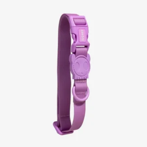Zeedog Regular Collar Neopro Ultra violet