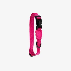 Zeedog Regular Collar Pink Led